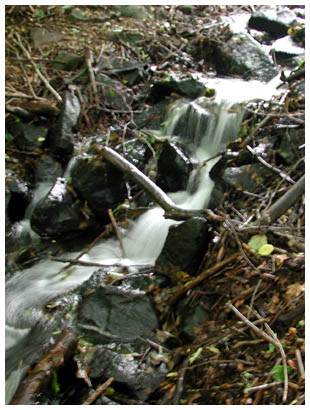 Wasserfall Kurfuerstenweiher: 