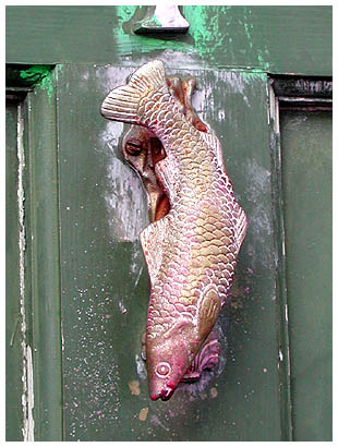 23fishdoor: 