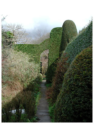 73walledgardenhedges: 