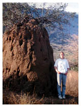 anthill thumb: 