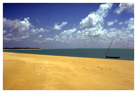 lamu beach: 