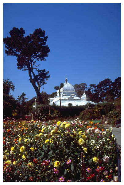 Golden Gate Park: 