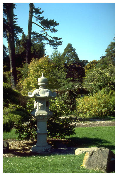 Japanese Garden: 
