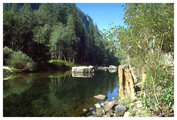 Merced River Island: 