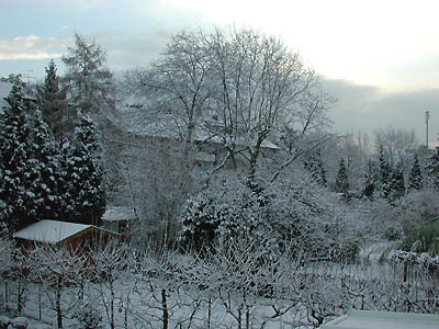 schnee290104: 