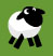 sheep jump: 