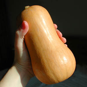 butternut squash: 