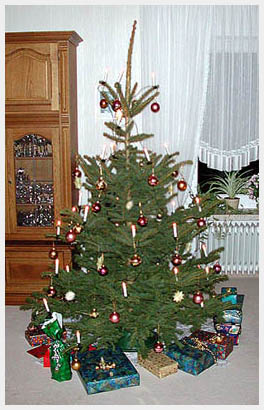 Weihnachtsbaum: 