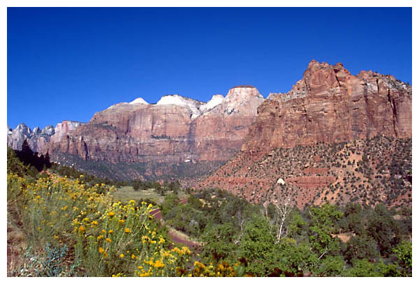 Zion Overview: 