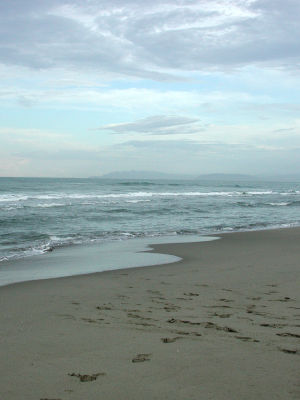 Viareggio Mare